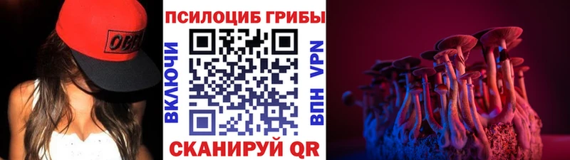 Галлюциногенные грибы Psilocybe  купить  цена  Зубцов 